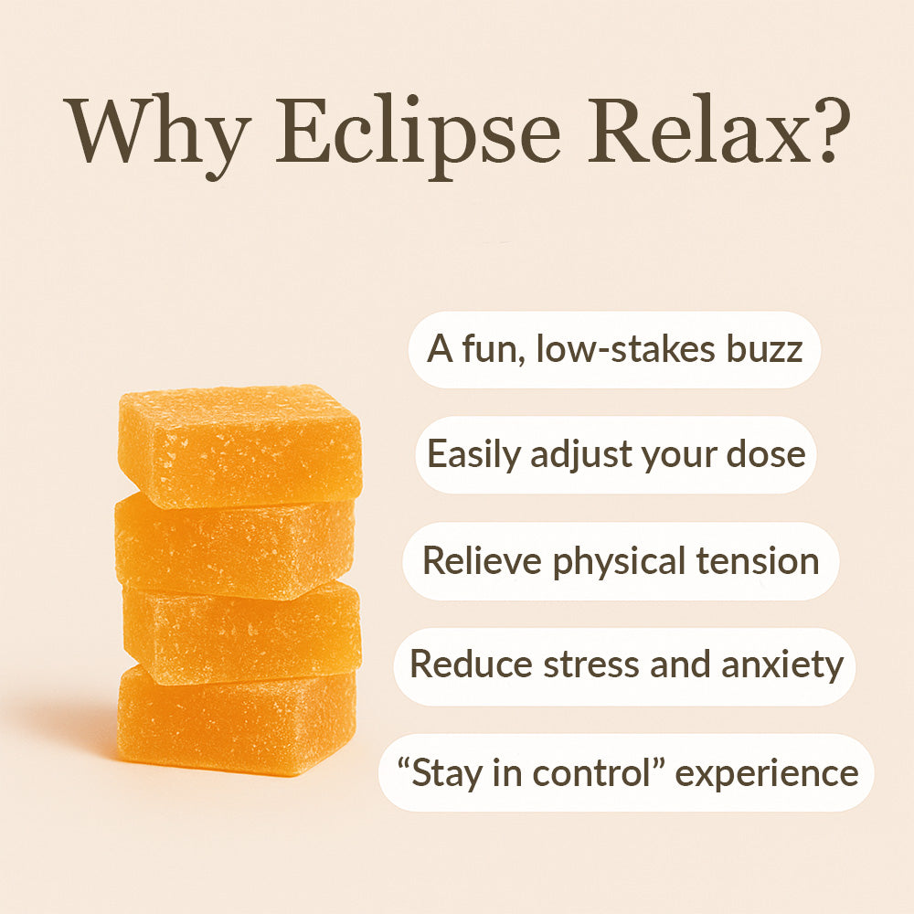 Eclipse Relax & Focus Bundle